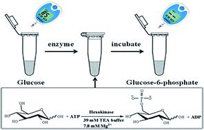 glucose laboratory analyzer|glucose hexokinase assay.